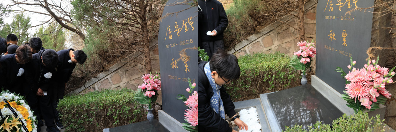 麻豆av