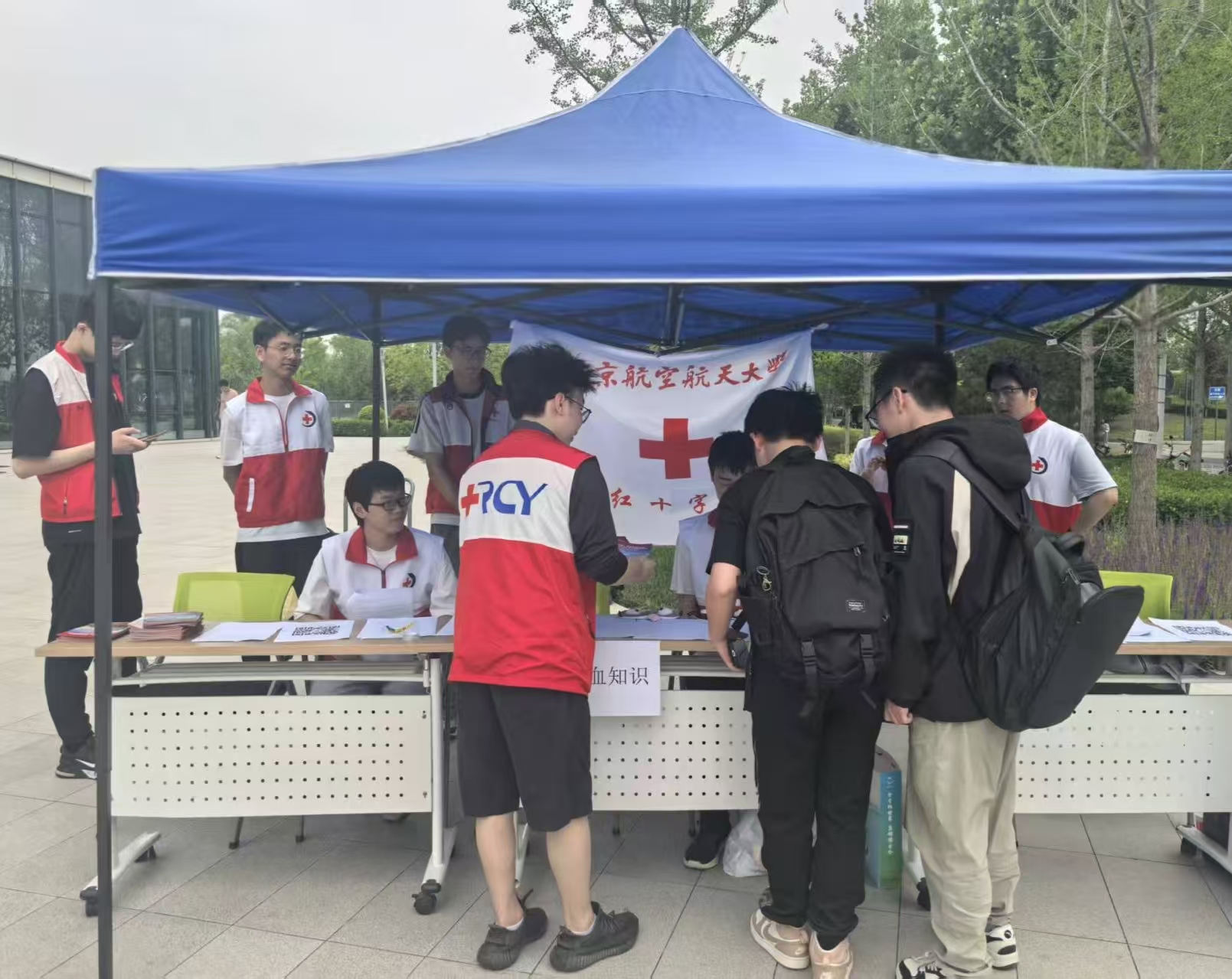 麻豆av